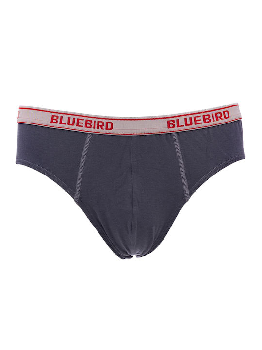 Palco Ανδρικά Σλιπ Γκρι 2Pack