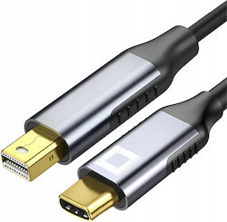 USB 2.0 USB-C male - mini DisplayPort 2m (CO2-0012)