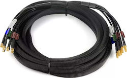 Poynting Antenne Poynting GSM Kabel 5in1 Cab-118 3xsma 2xrp Sma 5m