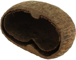 Keramik Natur Palm Pods