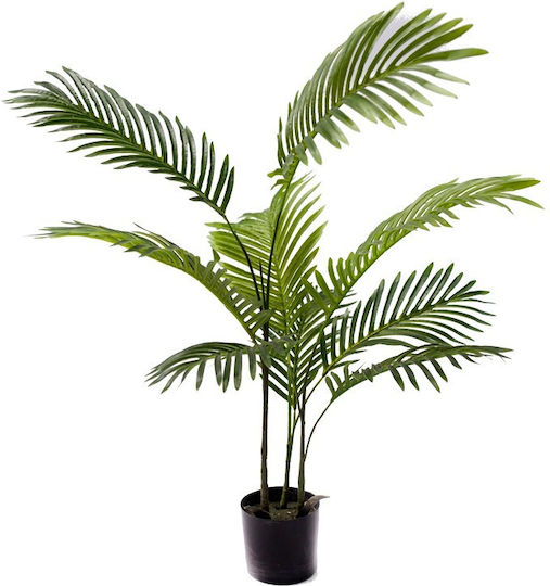 Areca Αρέκα σε Γλάστρα 80cm Inart