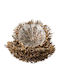 Zen Collection Fruit Bowl Wooden Brown