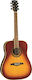 Vintage Electric Guitar Burst