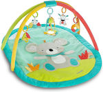 Baby Playmats & Gyms