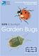 Rspb Id Spotlight