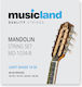 Musicland Set of Bronze Mandolin Strings 10 - 34