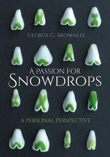Passion For Snowdrops