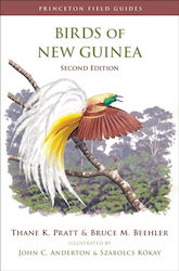 Birds Of New Guinea