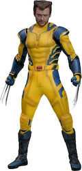 Hot Toys Marvel Deadpool Marvel Hot Toys Masterpiece Wolverine