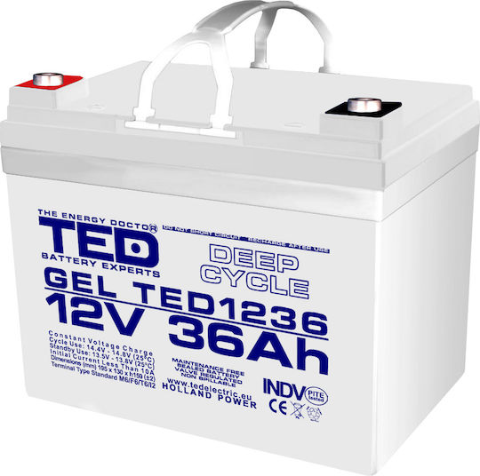 TED Electric Baterie UPS cu Capacitate 36Ah și Tensiune 12V A0058590 1buc