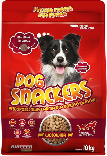 Dog Food 10kg Dry Food Gluten-Free for Adult Medium & Large Breed Dogs with Beef