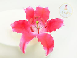 Edible Decorations Pink 2102