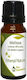 Melissa Essential Oil 5% Jojoba