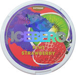 Iceberg Chewing gum 20pcs