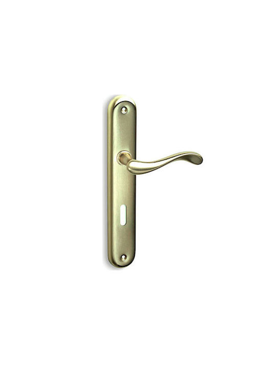 Convex Lever Front Door with Plate Left 425HY-L-S26S16 (Center Distance 85mm) Matt Oro