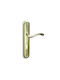Convex Lever Front Door with Plate Left (Center Distance 85mm) Matte Gold