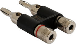 4mm² Lautsprecher-Terminal Gas Audio Power Bpc2