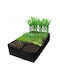 Ghiveci Plastic 180x180x30cm.