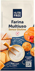 Nutrifree Αλεύρι Πατάτας για όλες τις Χρήσεις Χωρίς Γλουτένη 1kg
