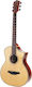 Bromo Semi-Akustik Gitarre Spruce / Schwarz
