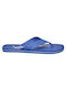 Polav Ανδρικά Flip Flops Μπλε