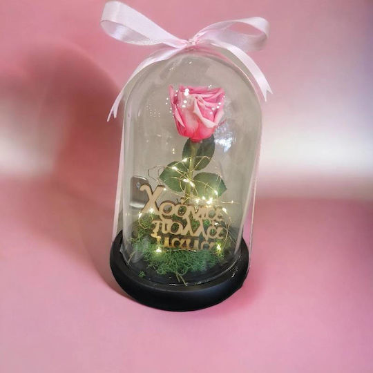 Eternal Rose 25cm in Yala