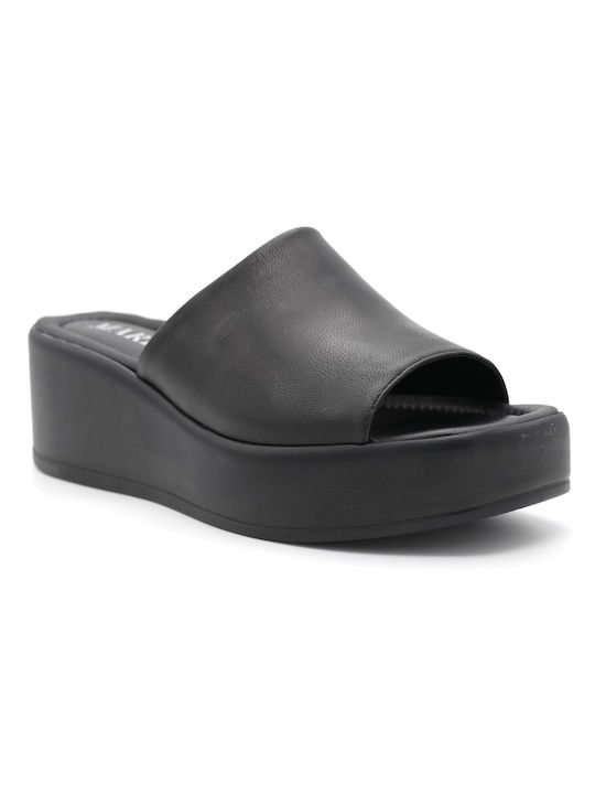 Aero by Kasta
