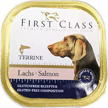 First Class Wet Food Dogs in Trays with Salmon 300gr