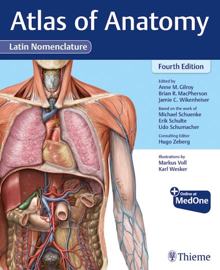 Atlas Anatomy Latin Nomenclature Thieme Medical Publishers Inc Hardback