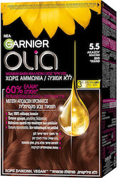 Garnier Olia 5.5 Acajou Mahogany Hair Dye
