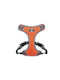 Value Imports Hundegeschirr L128LOR
