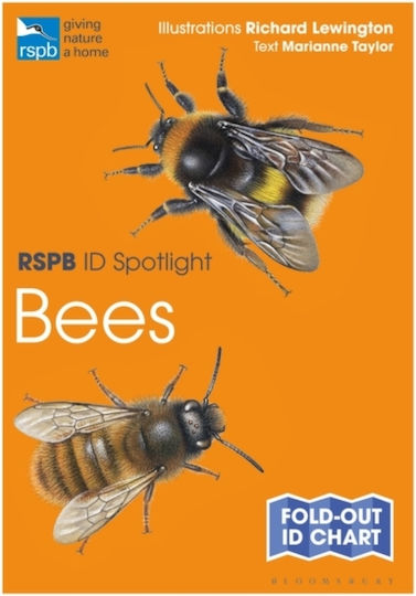Rspb Id Spotlight