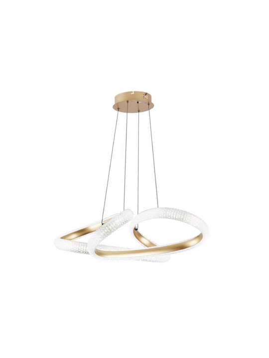 Inlight Pendant Light LED Gold