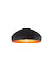 Braytron Ceiling Mount Light Black with Socket E27