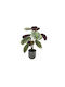 Artificial Plant in Pot Green 43cm Home & Camp