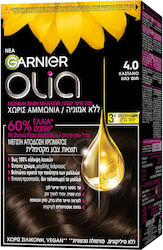 Garnier Permanent Garnier Permanent