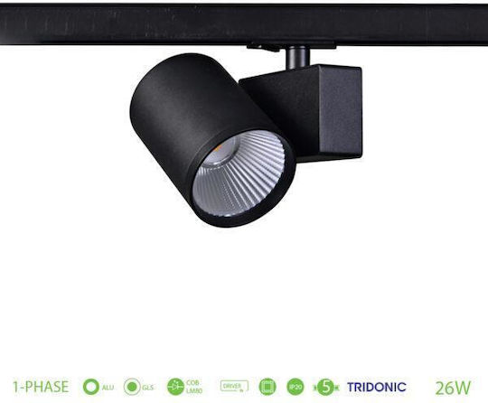 Aca Einzel LED Kaltweiß Spot in Schwarz Farbe