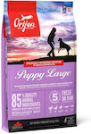Orijen Breed 11.4kg Dry Food for Puppies of Large Breeds