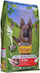 Friskies 10kg Trockenfutter für Hunde ohne Gluten mit Fleisch