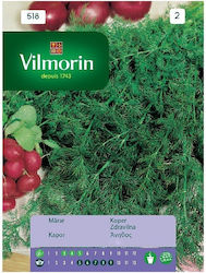 Vilmorin Samen Dill