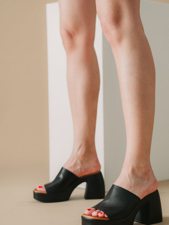 The Shoemart Mules with Chunky Heel in Black Color