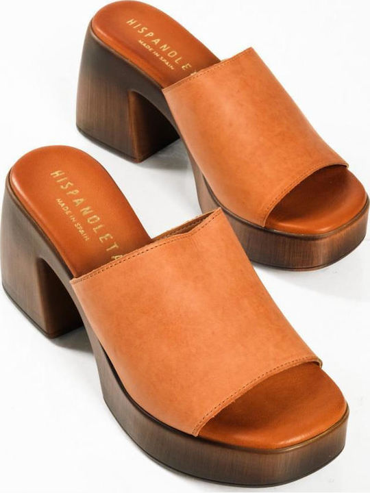 Mules with Chunky Heel in Tabac Brown Color