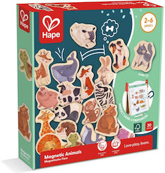 Hape Magnetic Construction Toy