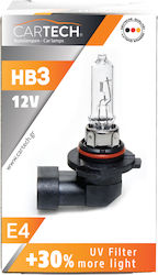 Cartech Lampe HB3