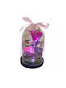 Ewige Rose Transparent 25cm in Yala