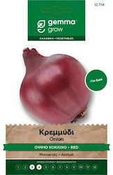 Bulb Onion Red