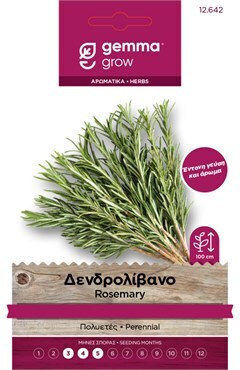 Seeds Rosemary Green