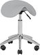 Salon Stools Scaun