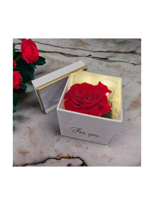 Παντοτινό Τριαντάφυλλο σε Κουτί