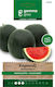 Gemma Samen Wassermelone 1.5gr